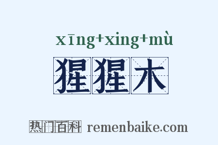 猩猩木是什么意思的图片